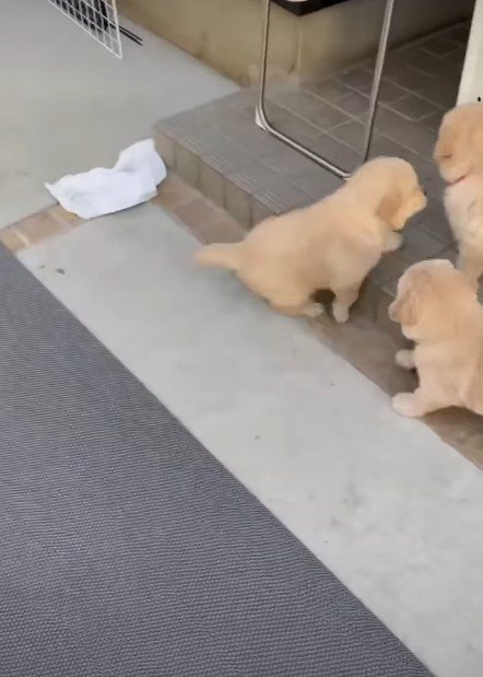 みんなそろったら…