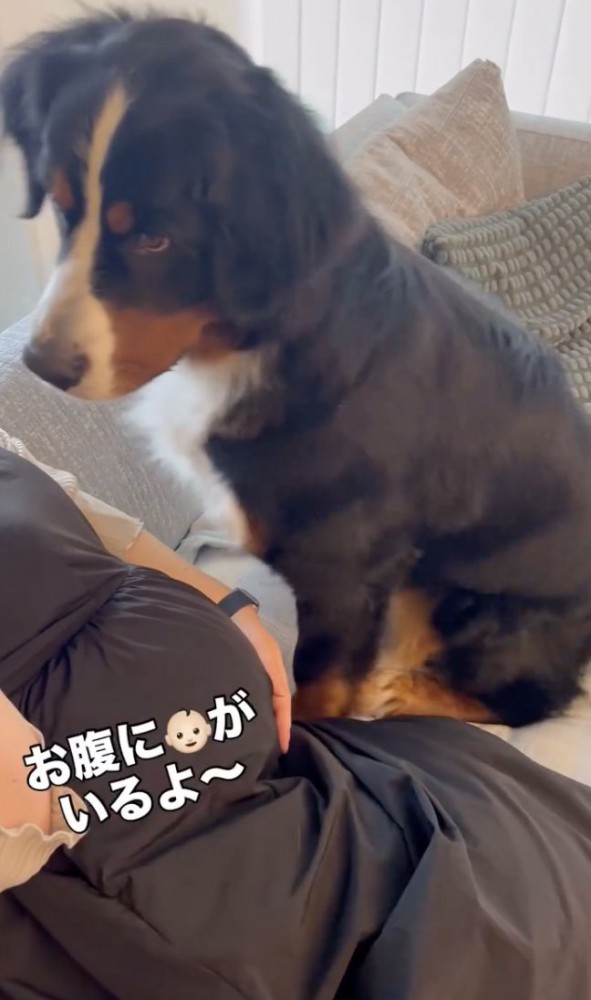 「そうなの！？」