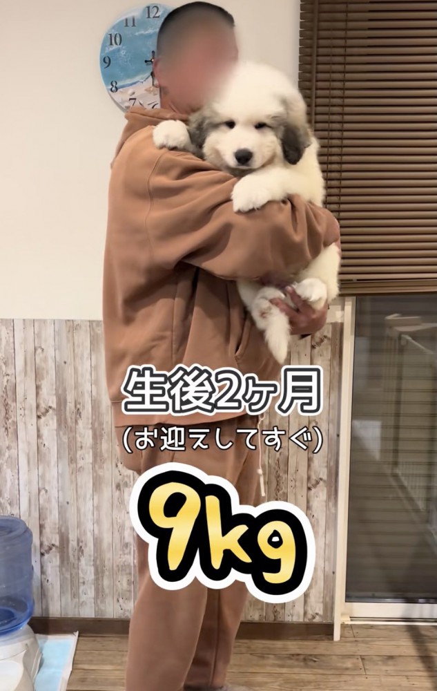 パパの腕にすっぽり