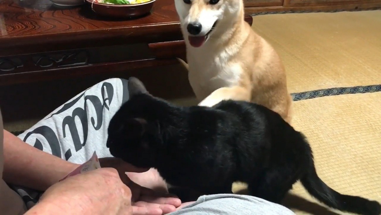 再び天くんの背中にちょんっ