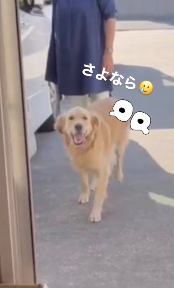 笑顔で走ります