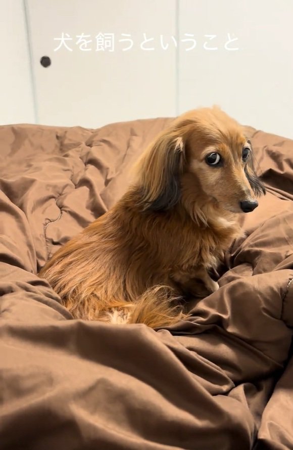 恨めしそうなティナちゃん