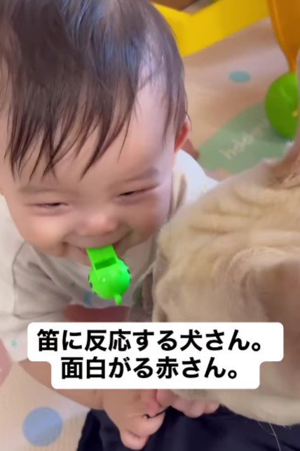 笛を吹いたら…