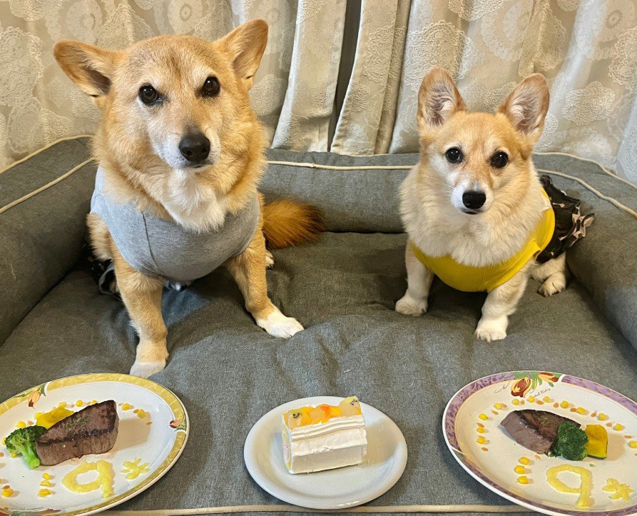 年齢も一緒だよ♪