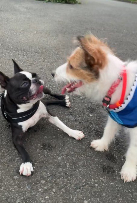 ちょっぴりお疲れ？