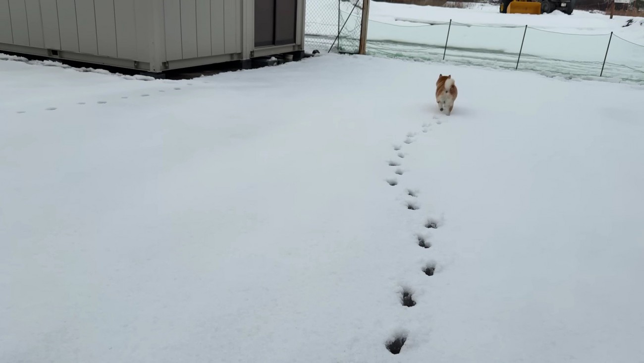 向かった先は…