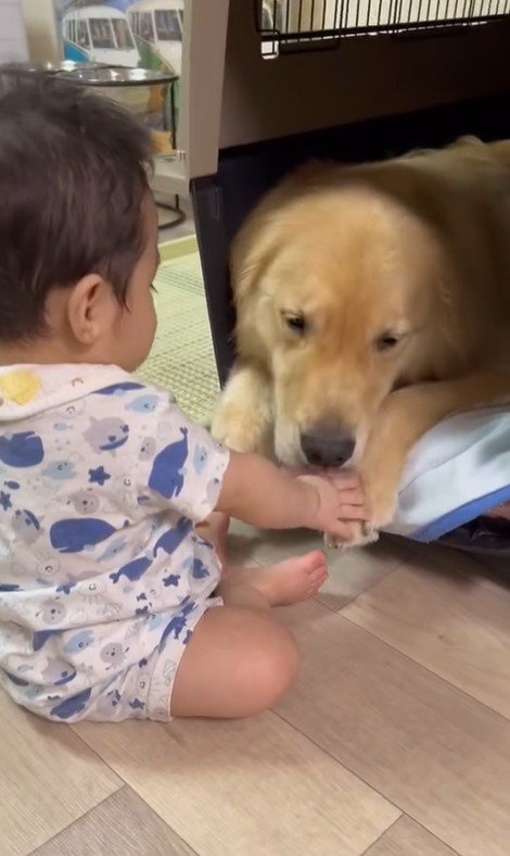 オレオくんと赤ちゃん3