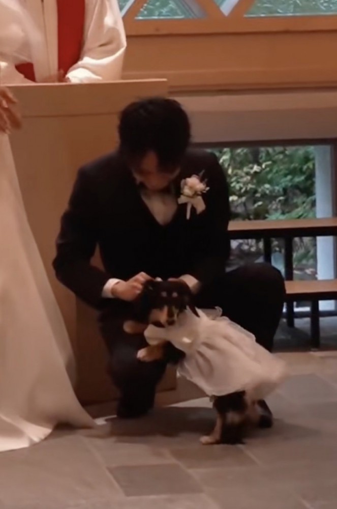 紬ちゃん、お疲れさま