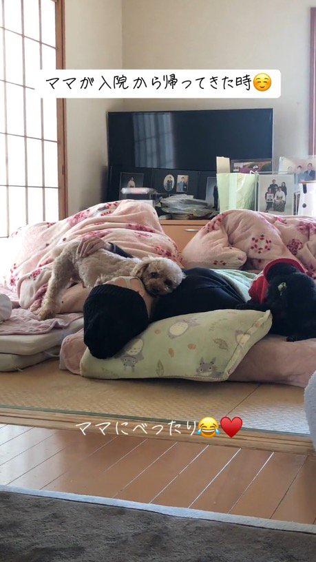 布団に横になる女性のそばでくつろぐ2頭の犬