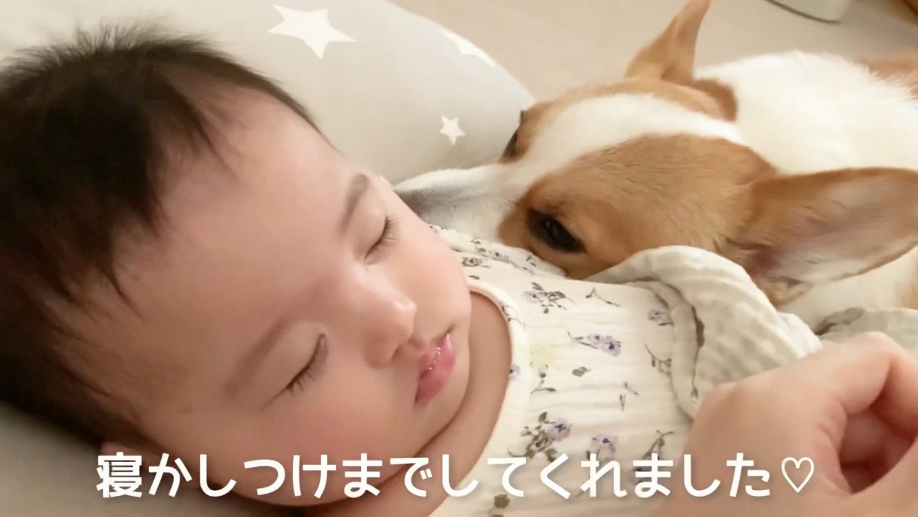 むぎ君のおかげで寝てくれました♪
