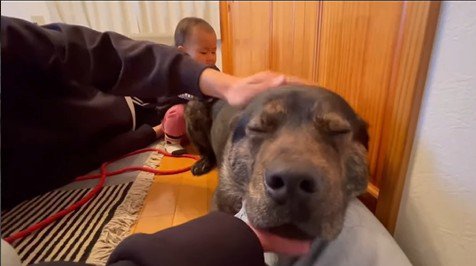 家族みんなでナデナデ…