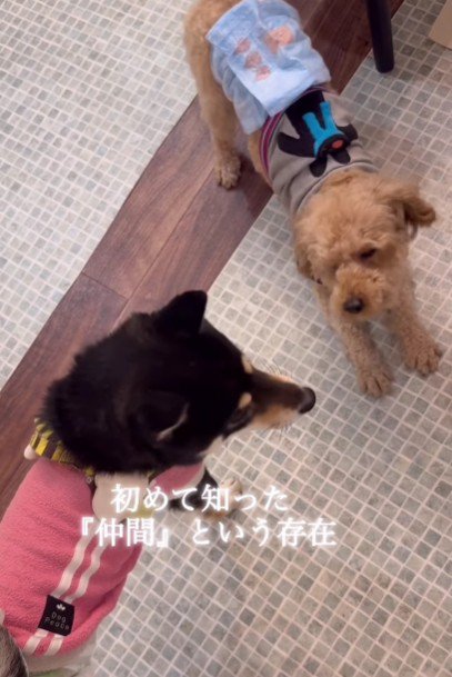 初めてできた「友達」