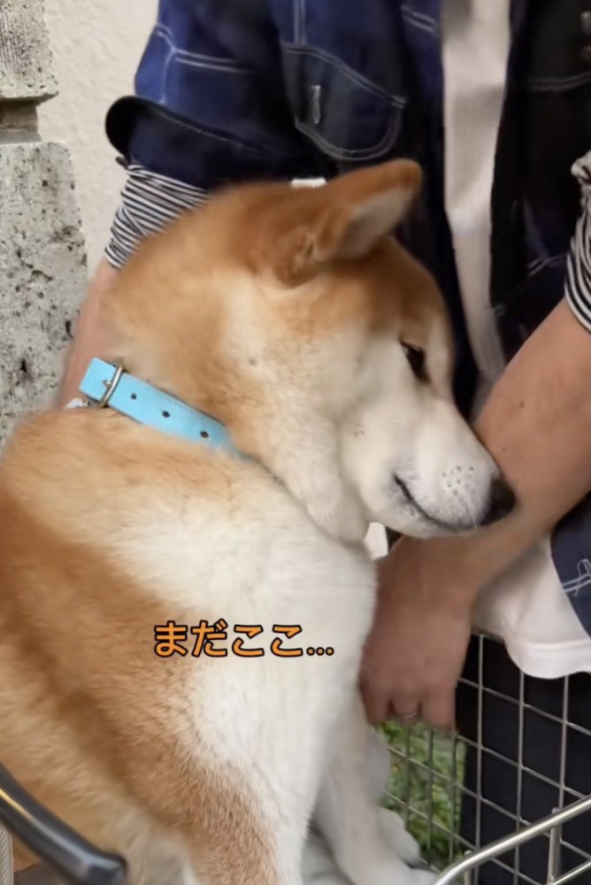 絶対に降りないという強い意志