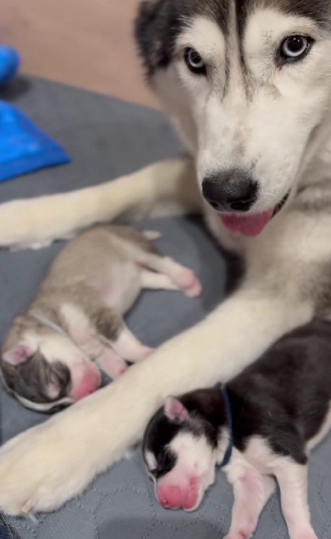 微笑ましい光景にホッコリ