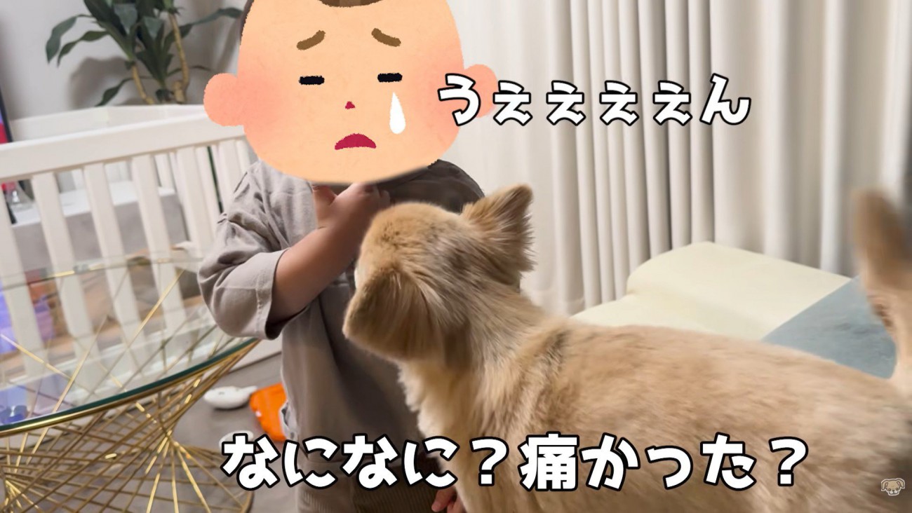 男の子は号泣！