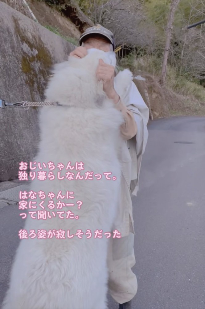 「おじいちゃんー！」