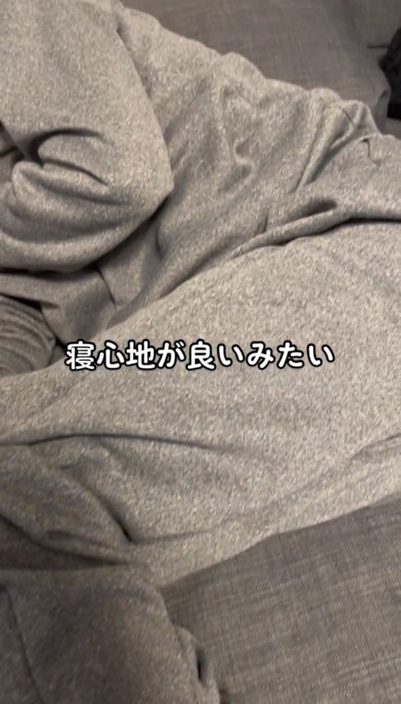ソファに横たわる人