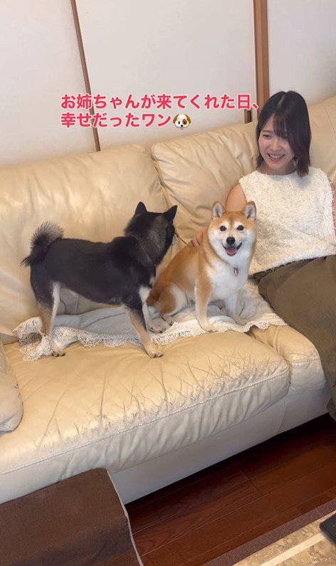 お姉ちゃん帰省時の小春ちゃん＆小太郎くん