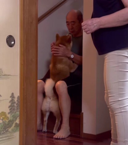 こっそり見てみると…