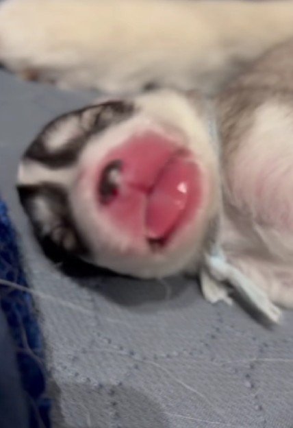 困惑してしまったのが…