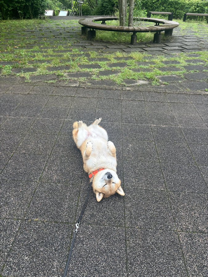 泥んこ