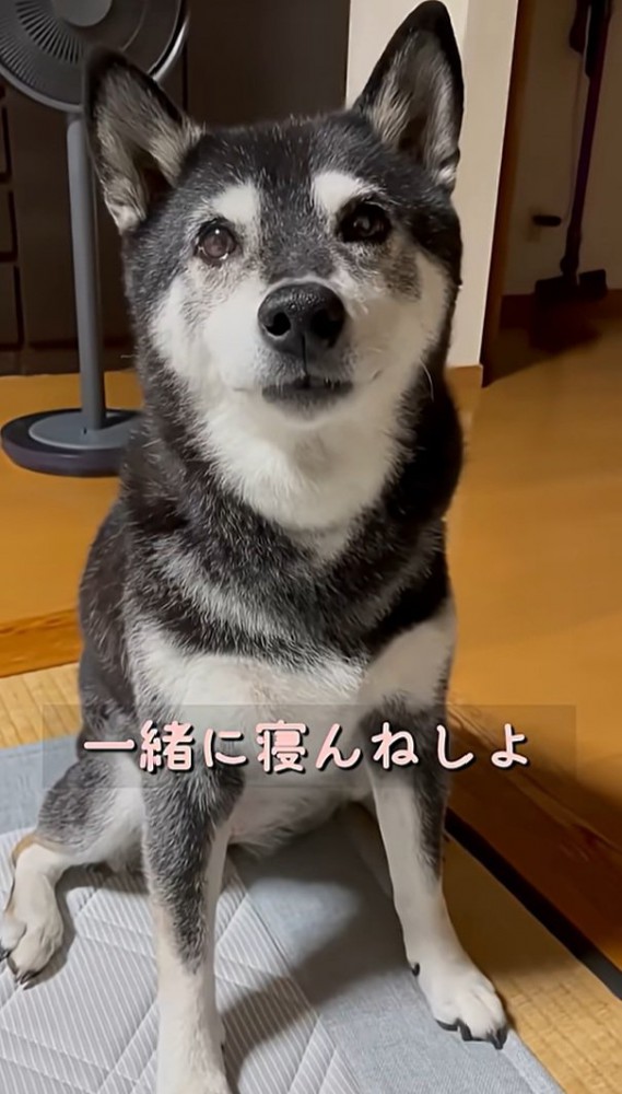寝んねを誘うママ