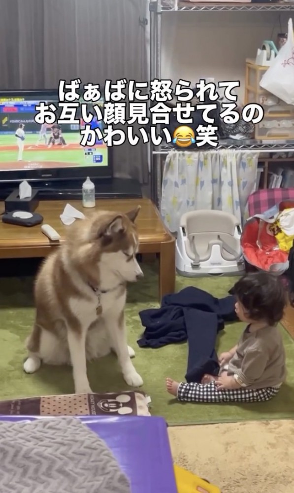 「仲良くしてるよね〜」