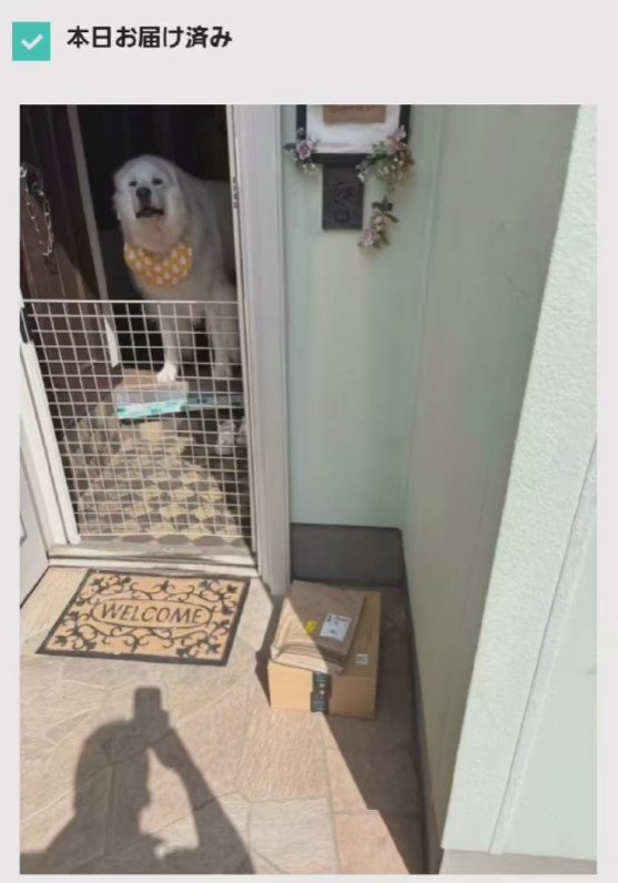 「配達ごくろうさま！！」