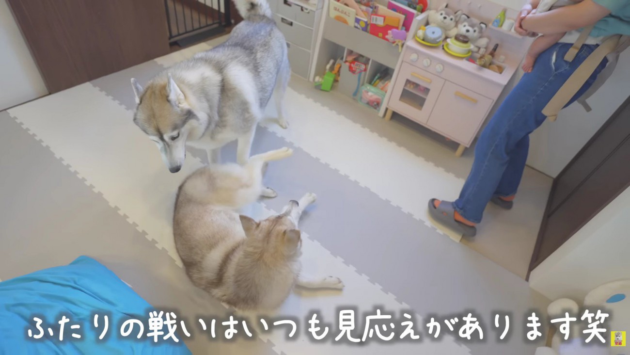 再びワンプロが始まった