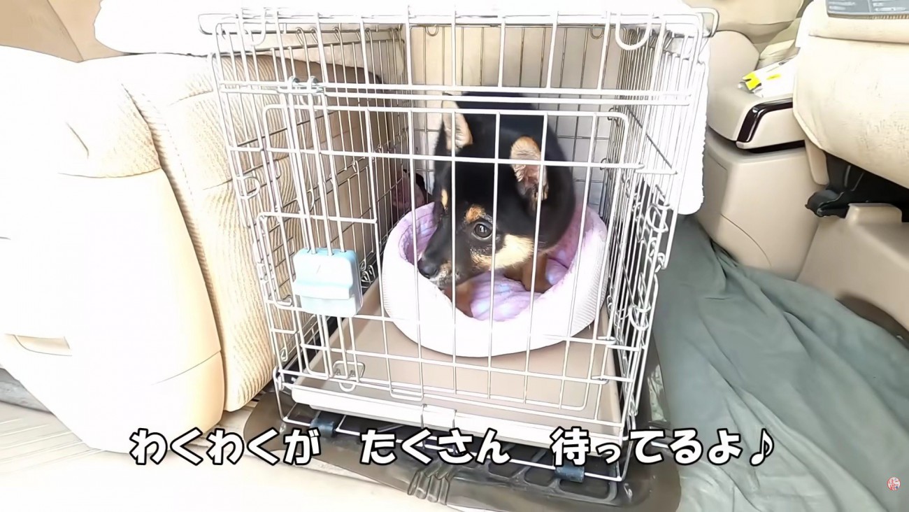 幸せになってね