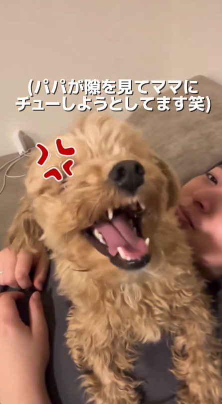 女性に近づいてくる男性に吠える犬