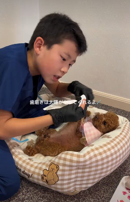歯磨きも欠かしません
