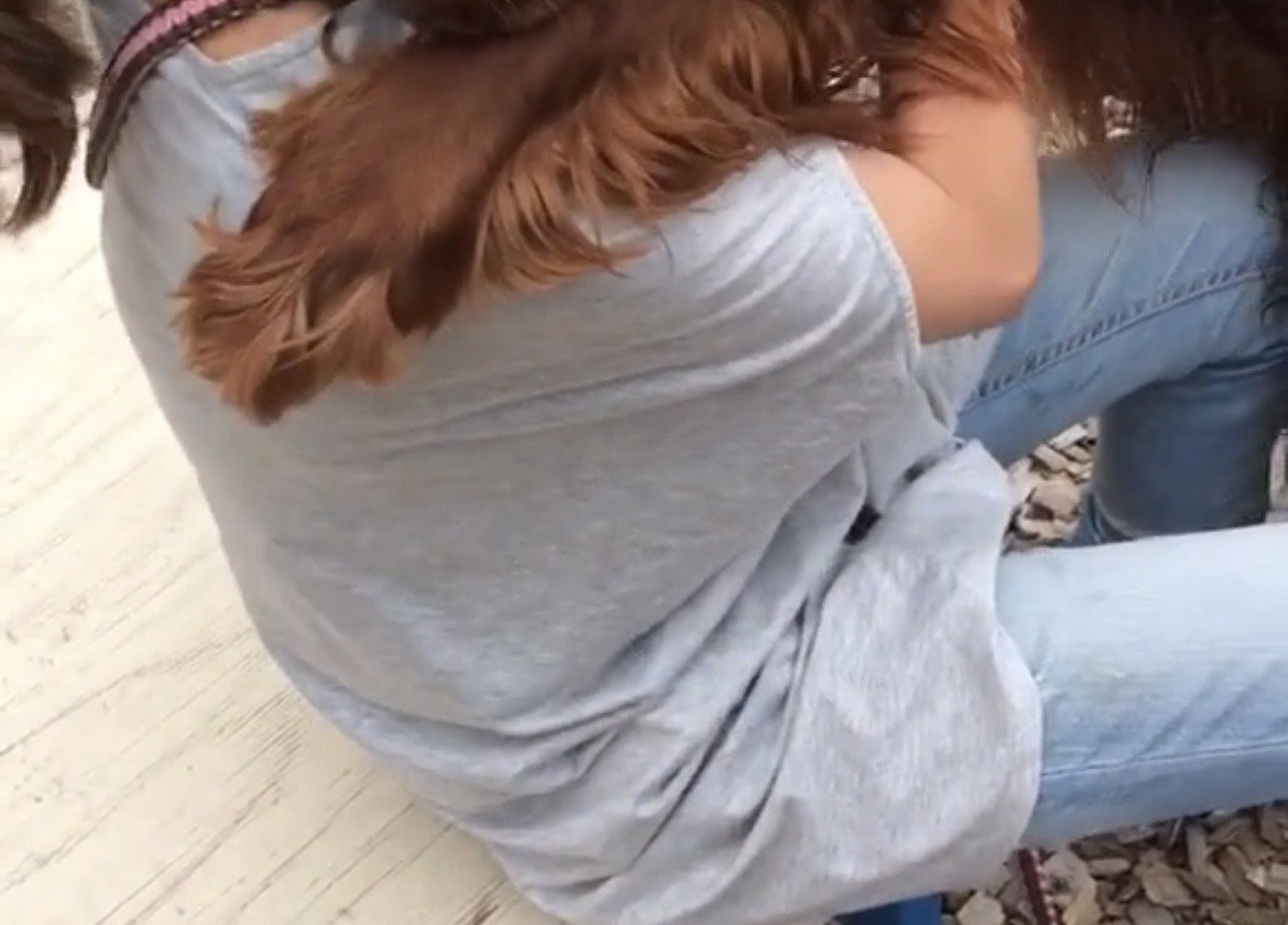 人に抱きつく犬