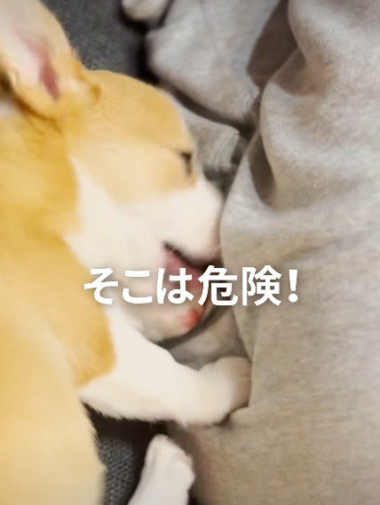 そこはやめて！！