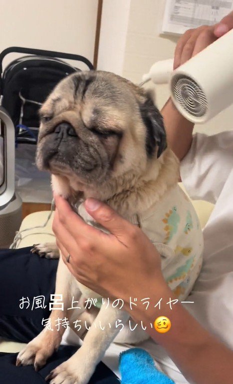 表情豊かなデビちゃん4