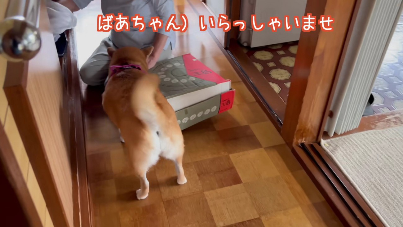 おばあちゃんとおじいちゃんに挨拶