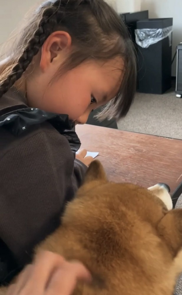 犬に注意する女の子