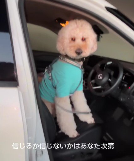 前世は人間！？