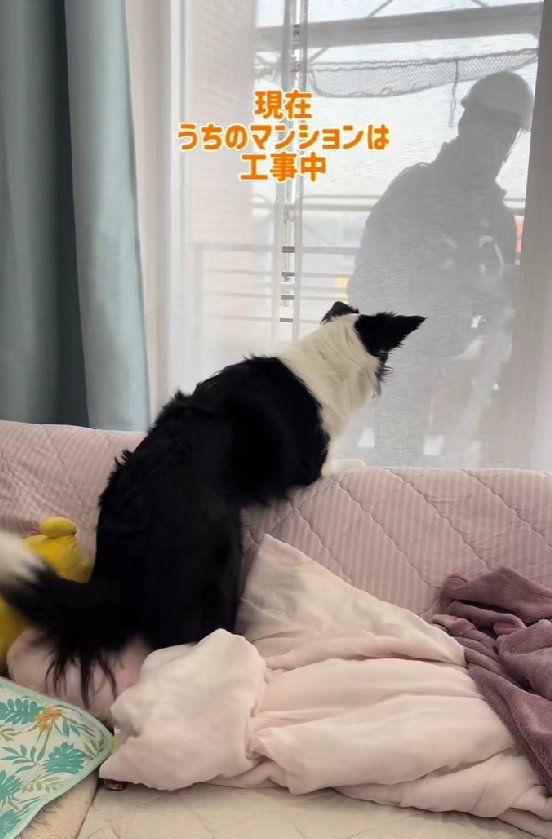 工事をしていたら…