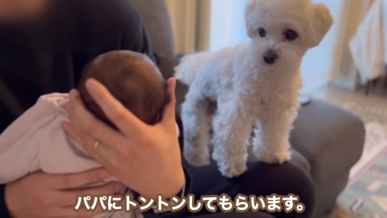 赤ちゃんを見るエルくん