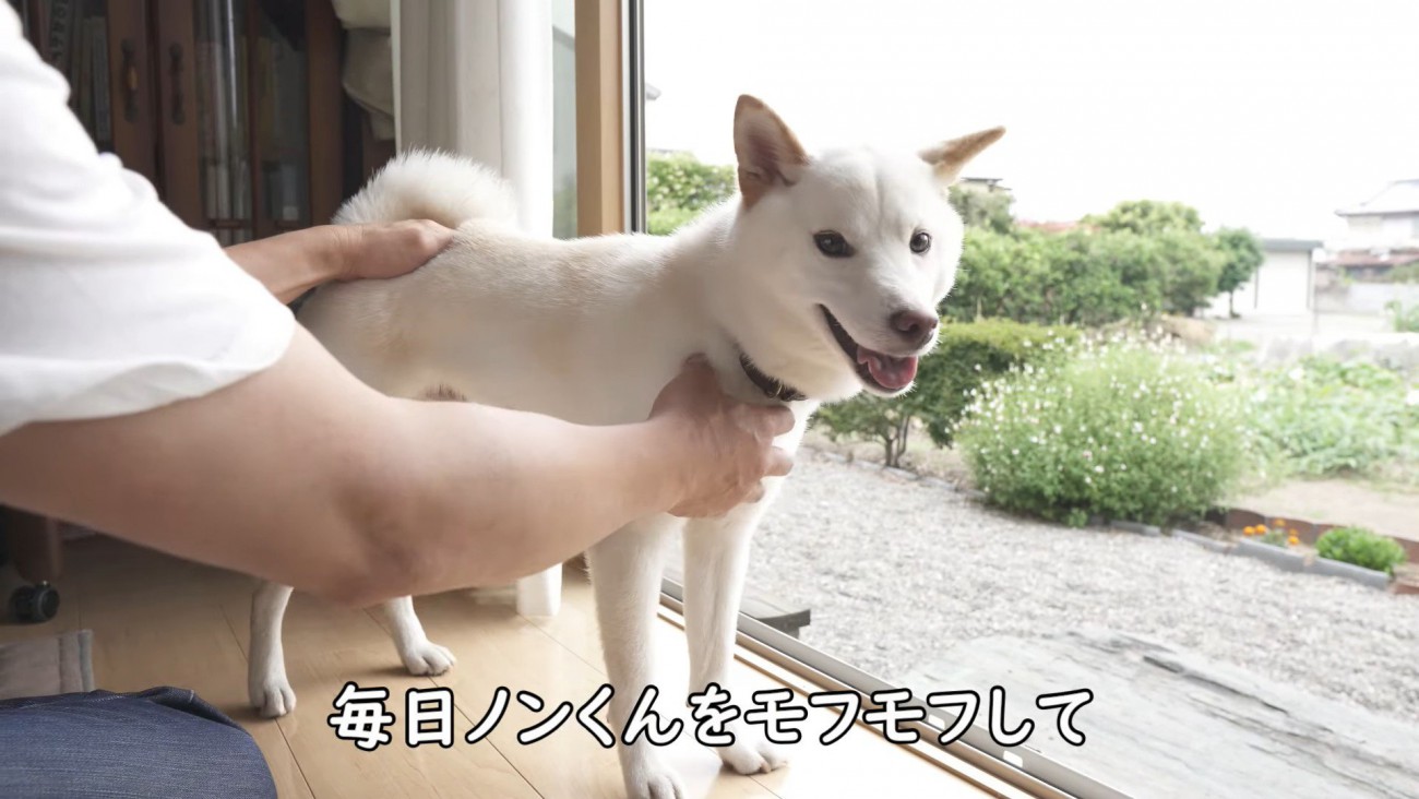 飼い主さんと過ごせて嬉しそう♪