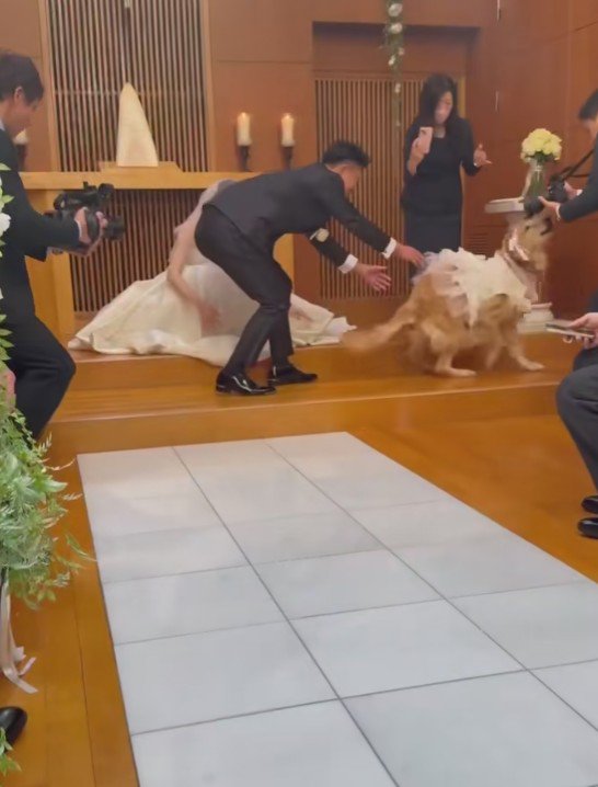 どこかへ行っちゃった！！