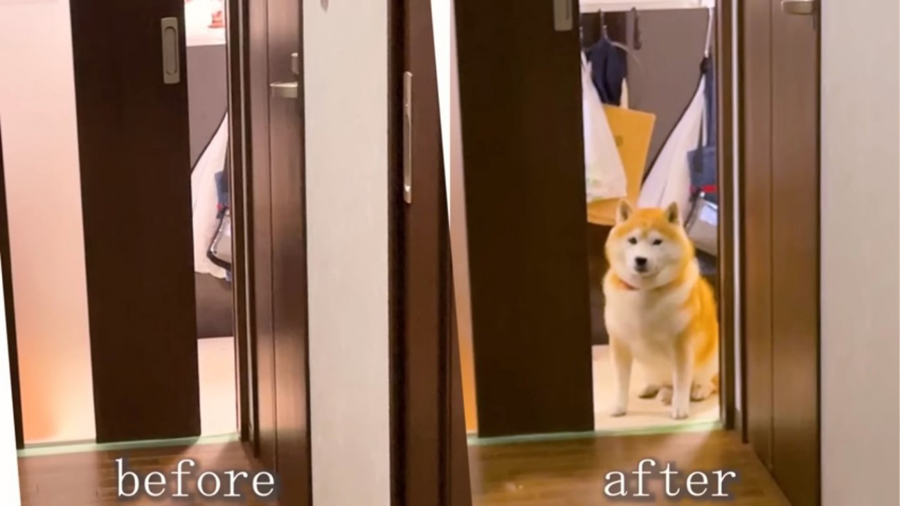 扉のビフォーアフター