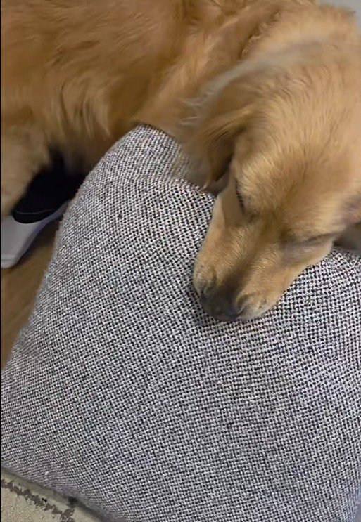 markくんとお兄ちゃんの再会4