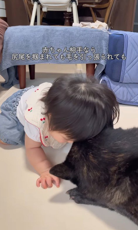 ツムギちゃんと娘さん7