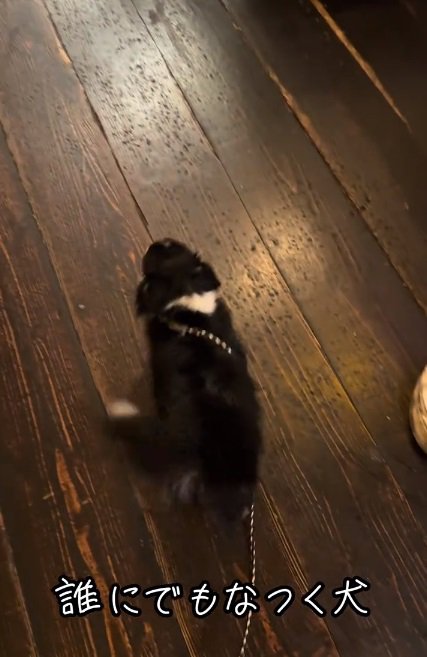 立ち去るオレオちゃん