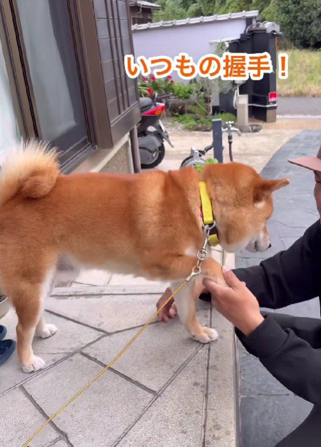 愛があふれるおいも君