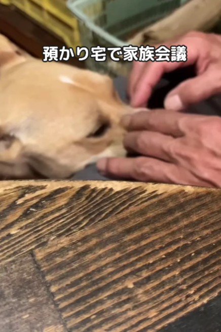 ボランティアさんと会議