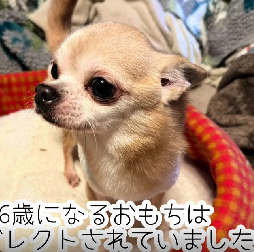 ネグレクトを受けていた