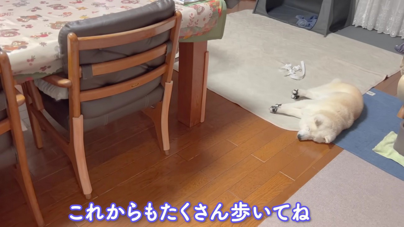 たくさん歩こうね♪